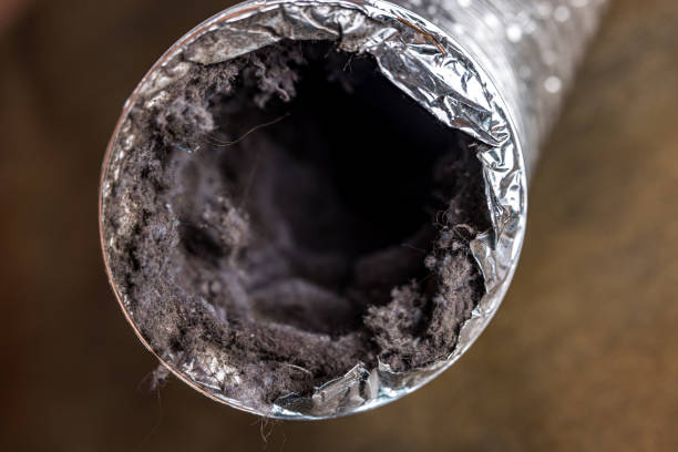Best Dryer Vent Cleaning Services  in Glen Raven, NC